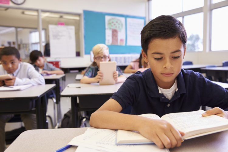 Latino Education, Multiculturalism and Culturism