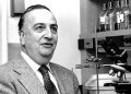 Baruj Benacerraf